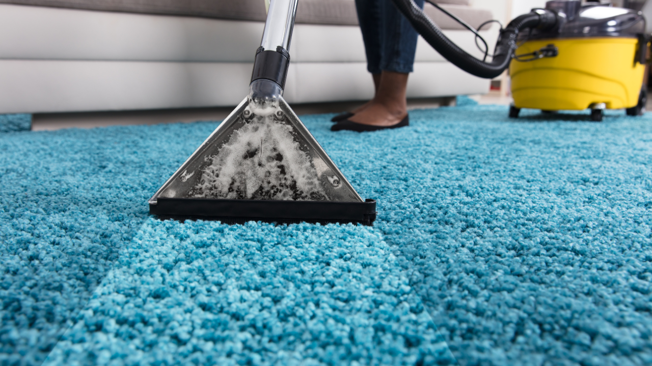 Carpetes
